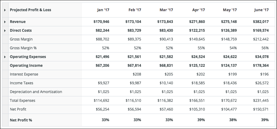 Profit and Loss Report