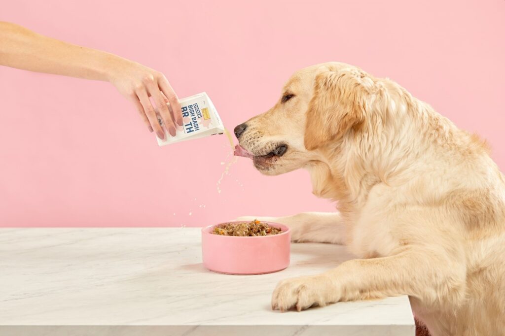 Not a Puppy Anymore: How Datarails Helps Fresh Dog Food Provider Butternut Box Scale Up