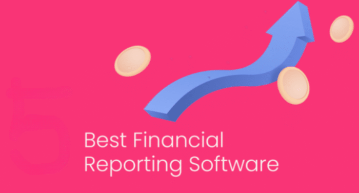 best financial reporting software