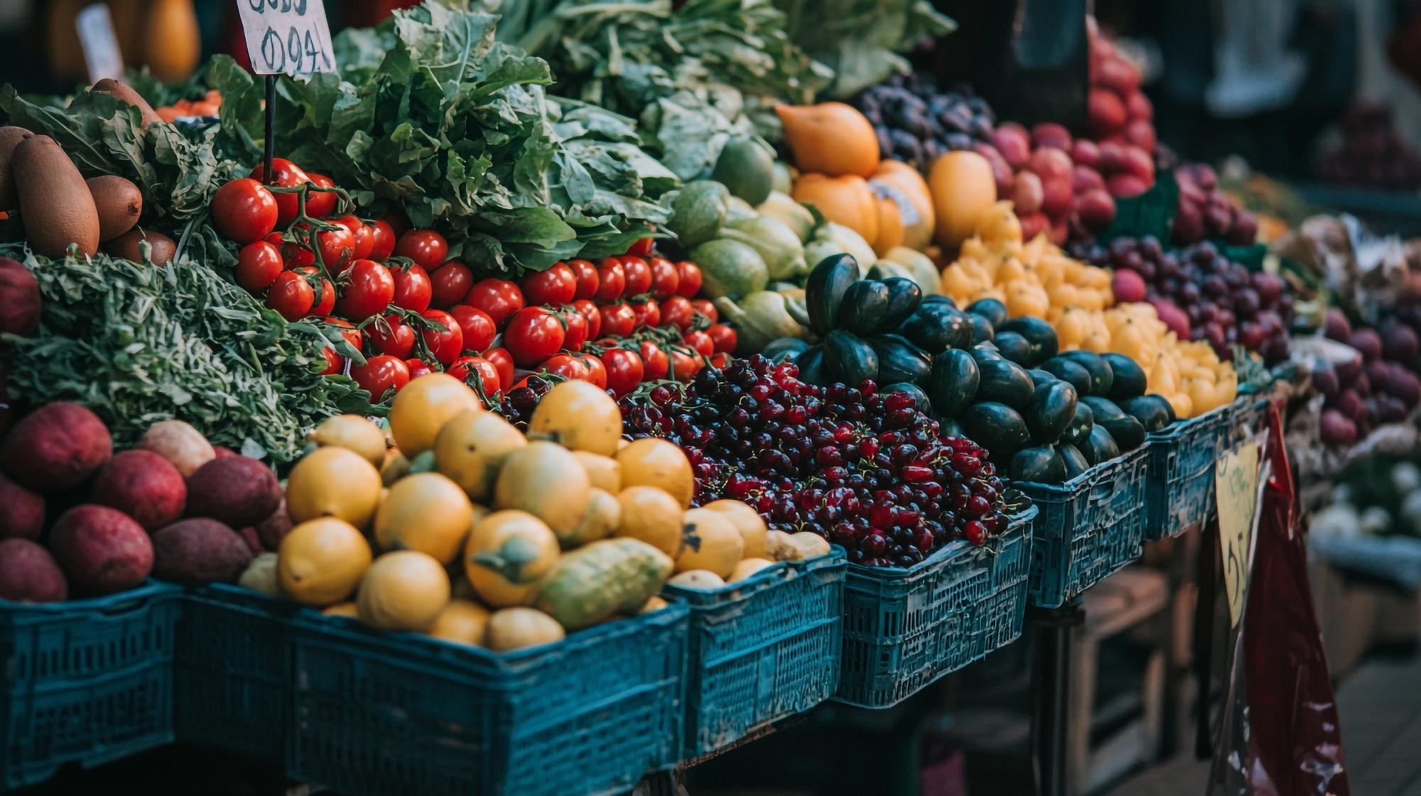 How Datarails Transformed Alasko’s Budget Process: From Weeks to One Day