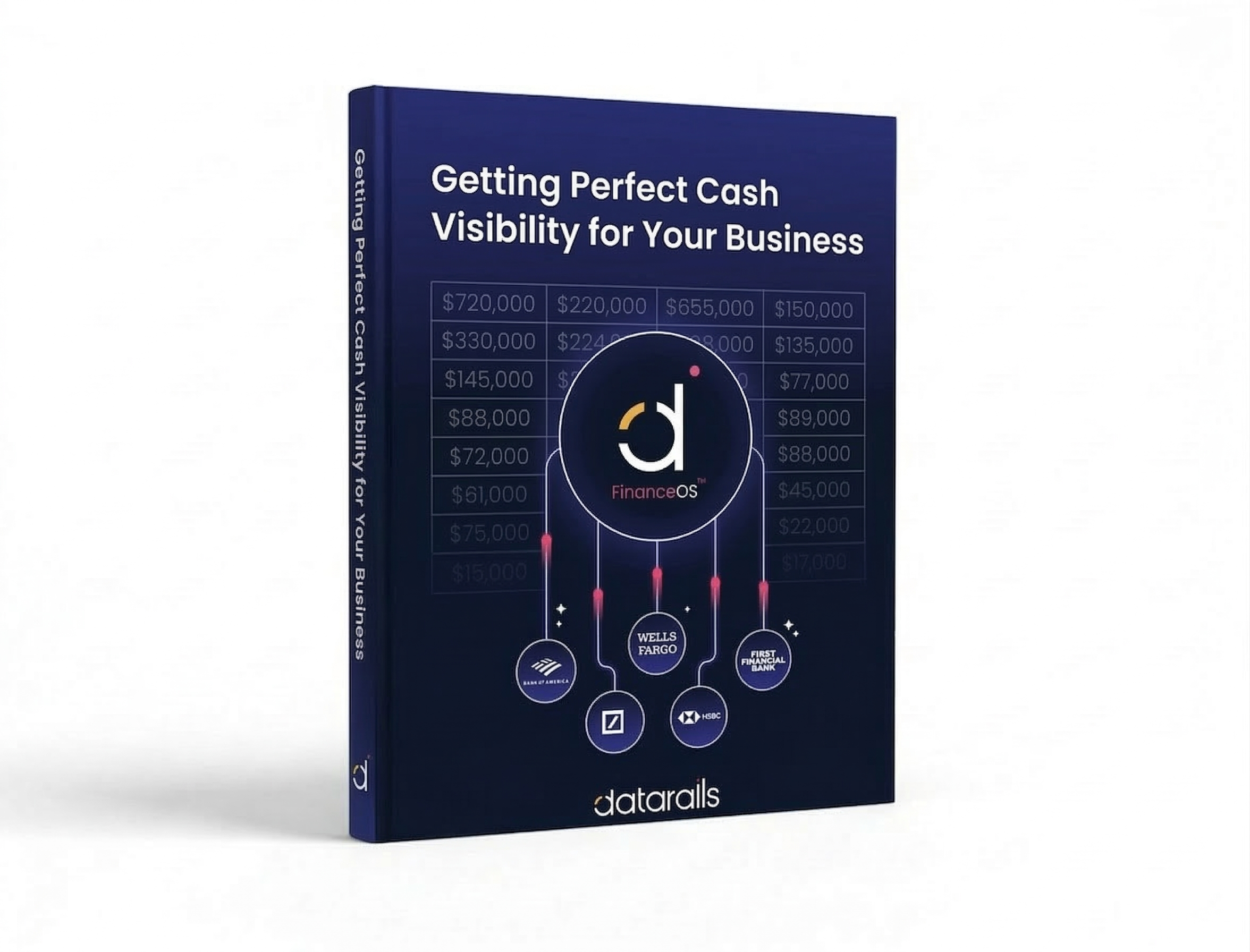 Getting perfect cash visibility for your business